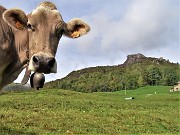 71 Voi scendetre in valle, io rimango qui nei verdi prati di Reggetto con vista sul Corno Zuccone
